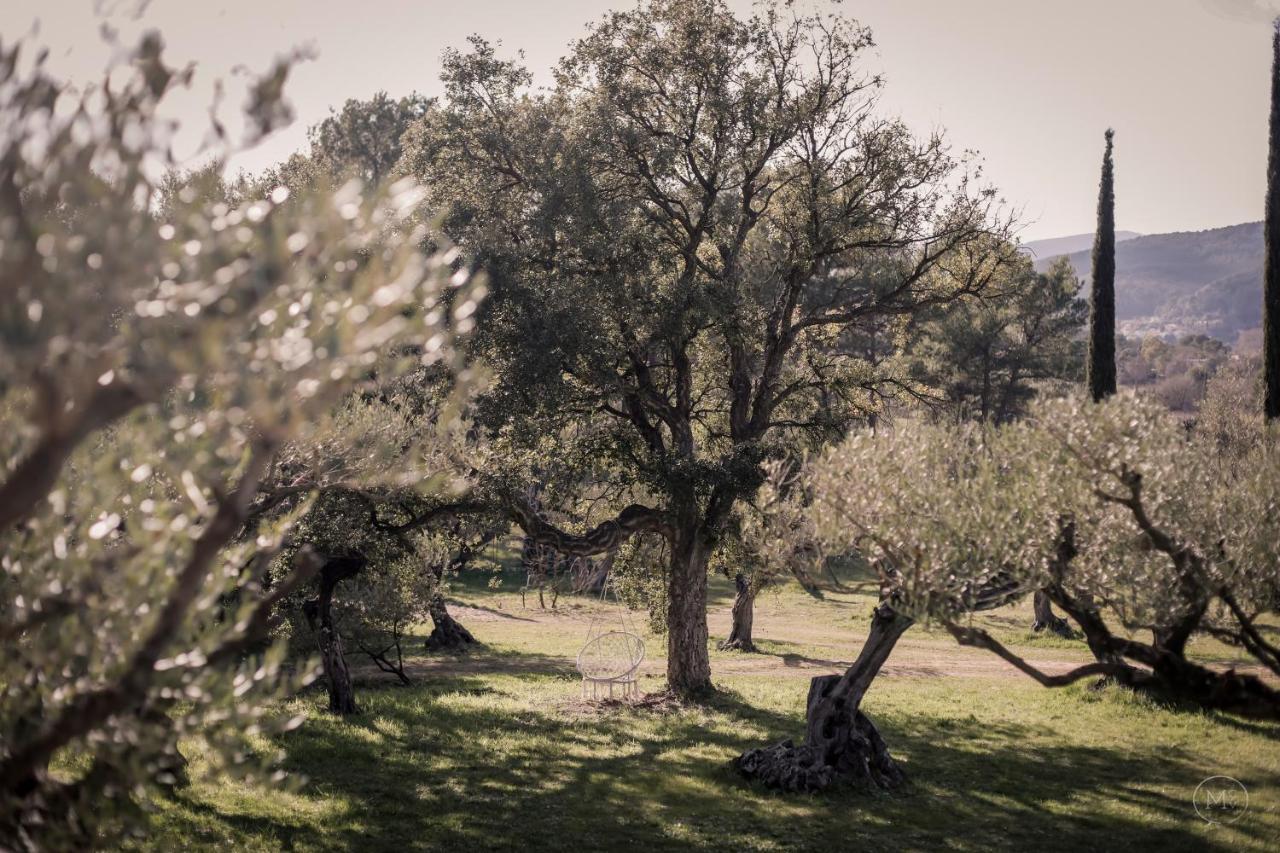 Les Hauts De Diane, Cuers Var Kültér fotó